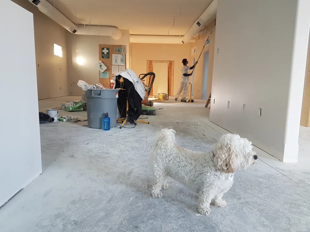 Interior remodeling work in progress